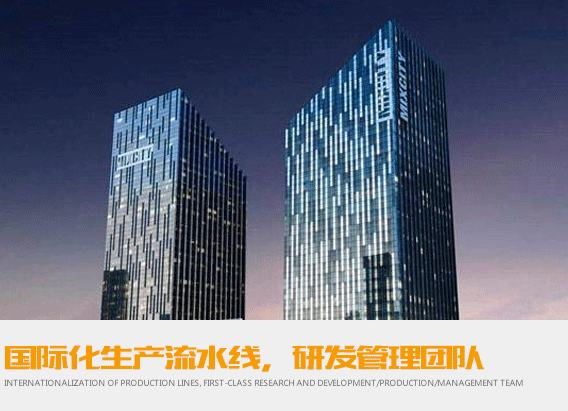国际化生产流水线